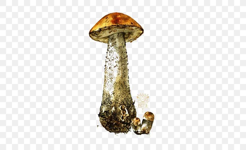 Mushroom Watercolor Painting Illustration, PNG, 500x500px, Mushroom, Food, Fungus, Illustrator, Matsutake Download Free