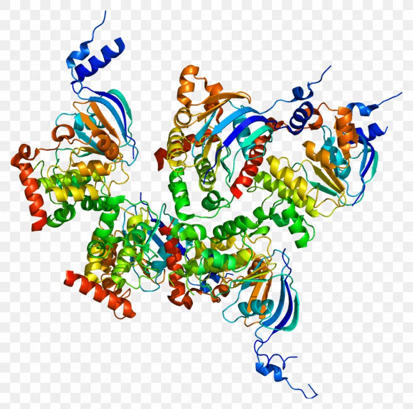 Cystic Fibrosis Transmembrane Conductance Regulator Gene Protein Chloride Channel, PNG, 983x974px, Gene, Area, Art, Cell, Cell Membrane Download Free