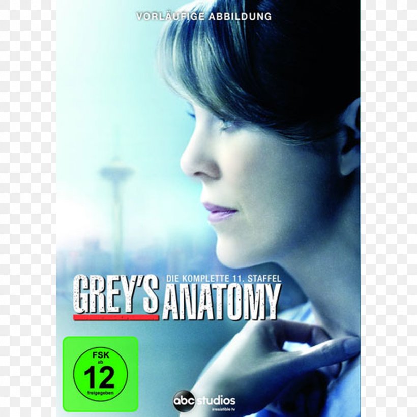 Dr. Addison Montgomery Grey's Anatomy, PNG, 1024x1024px, Season, Advertising, Album Cover, Black Hair, Blue Download Free