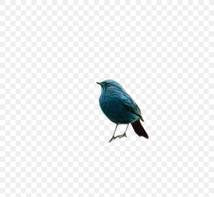 Feather, PNG, 672x755px, Watercolor, Beak, Bluebirds, Cobalt, Cobalt Blue Download Free