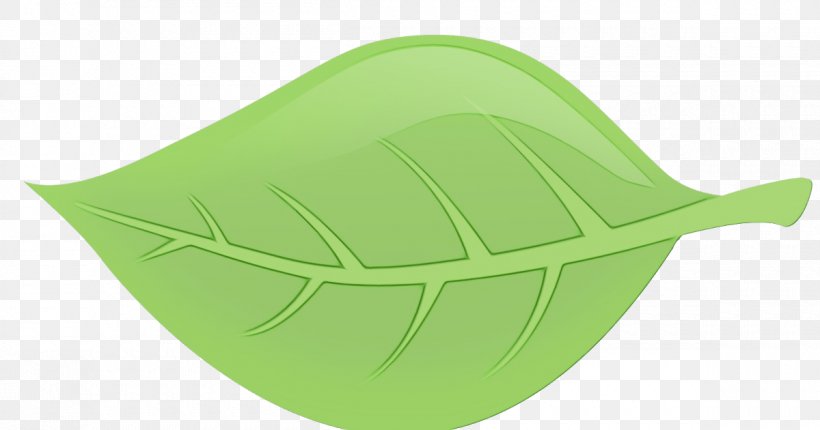 Green Leaf Background, PNG, 1200x630px, Green, Cap, Leaf, Plant Download Free
