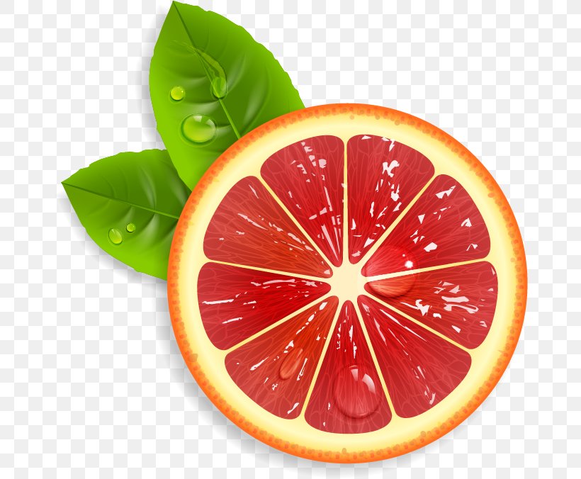 Juice Lemon Grapefruit Orange, PNG, 670x676px, Juice, Citric Acid, Citrus, Diet Food, Food Download Free