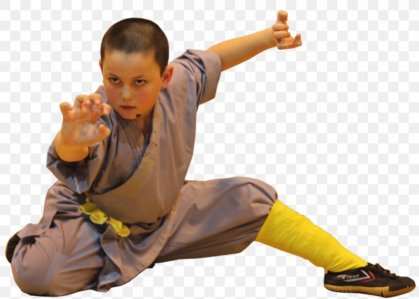 Shaolin Monastery Shaolin Kung Fu Shaolin Temple UK Tiger Hu Chen Chinese Martial Arts, PNG, 1200x855px, Shaolin Monastery, Child, Chinese Martial Arts, Joint, Kung Fu Download Free