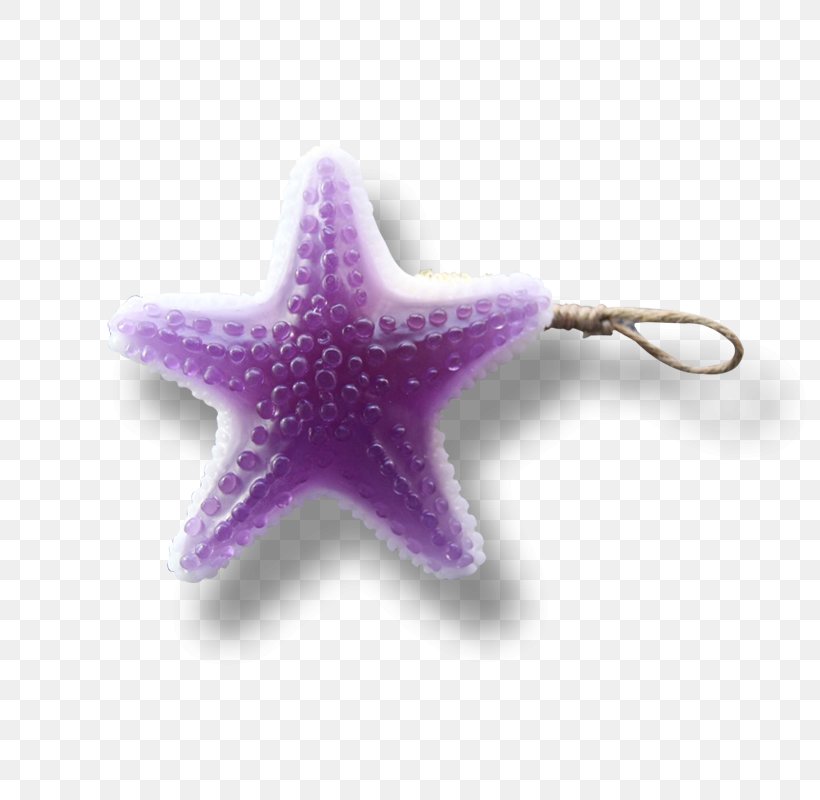 Starfish, PNG, 800x800px, Starfish, Echinoderm, Invertebrate, Marine Invertebrates, Purple Download Free