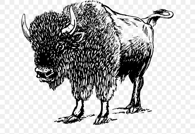 American Bison European Bison White Buffalo Clip Art, PNG, 640x564px, American Bison, Bison, Black And White, Bull, Cattle Like Mammal Download Free