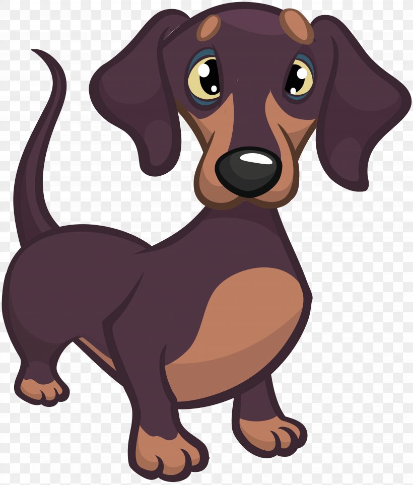 Dachshund Puppy Cartoon, PNG, 7151x8399px, Dachshund, Breed, Carnivoran, Cartoon, Comics Download Free