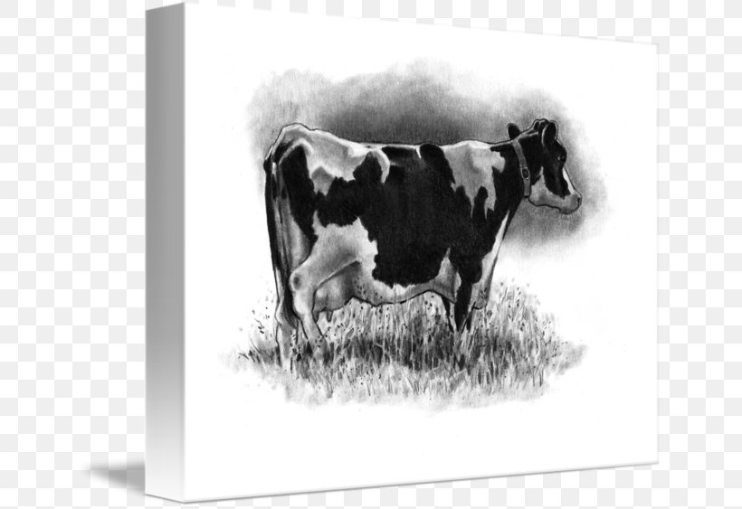 Dairy Cattle Holstein Friesian Cattle Taurine Cattle Drawing Canvas Print, PNG, 650x563px, Dairy Cattle, Art, Black And White, Bull, Canvas Download Free