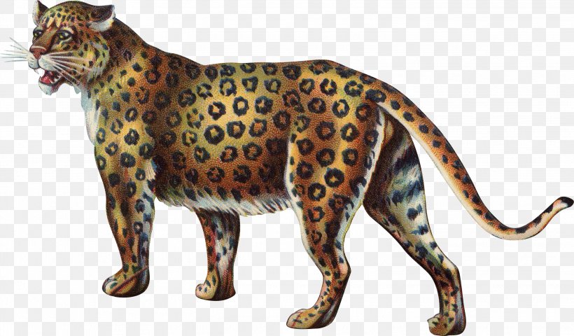 Leopard Cheetah Tiger Lion Cat, PNG, 3032x1777px, Leopard, Animal, Animal Figure, Big Cats, Carnivoran Download Free