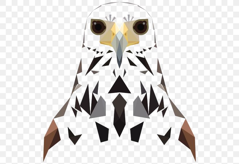 Owl Bird Hawk, PNG, 564x564px, Owl, Animal, Beak, Bird, Bird Of Prey Download Free
