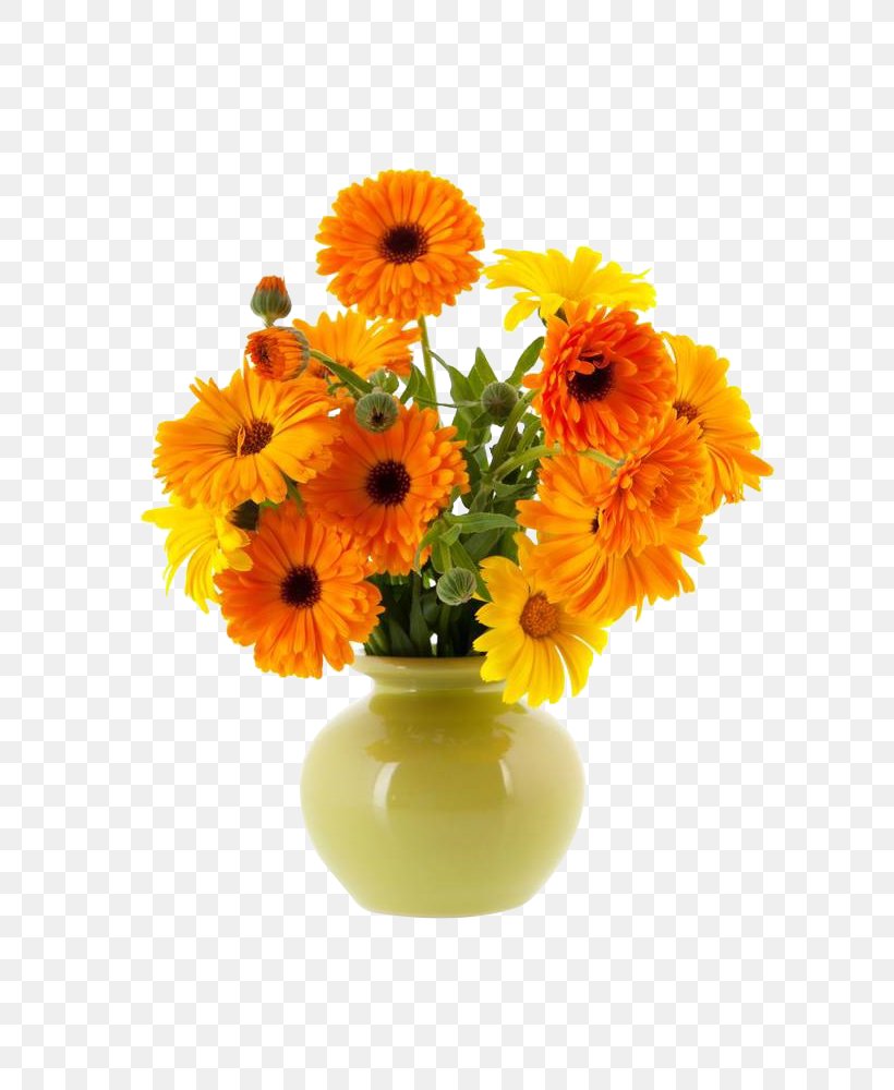 Vase Flower Calendula Officinalis, PNG, 667x1000px, Vase, Artificial Flower, Calendula, Calendula Officinalis, Common Sunflower Download Free
