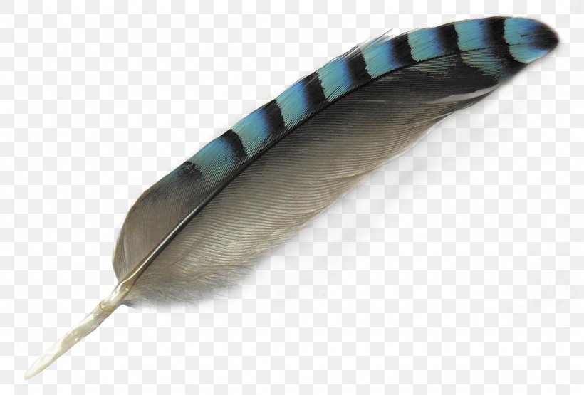 Bird Feather, PNG, 1744x1181px, Bird, Color, Feather, Image File Formats, Layers Download Free