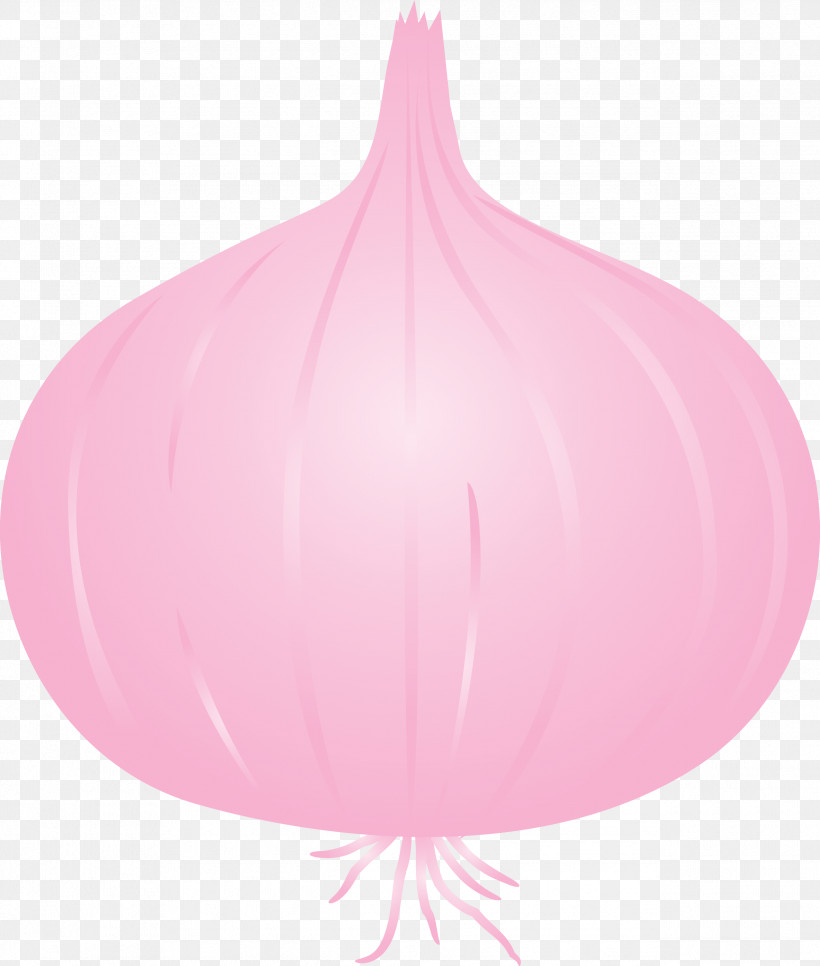 Onion, PNG, 2545x2999px, Onion, Balloon Download Free