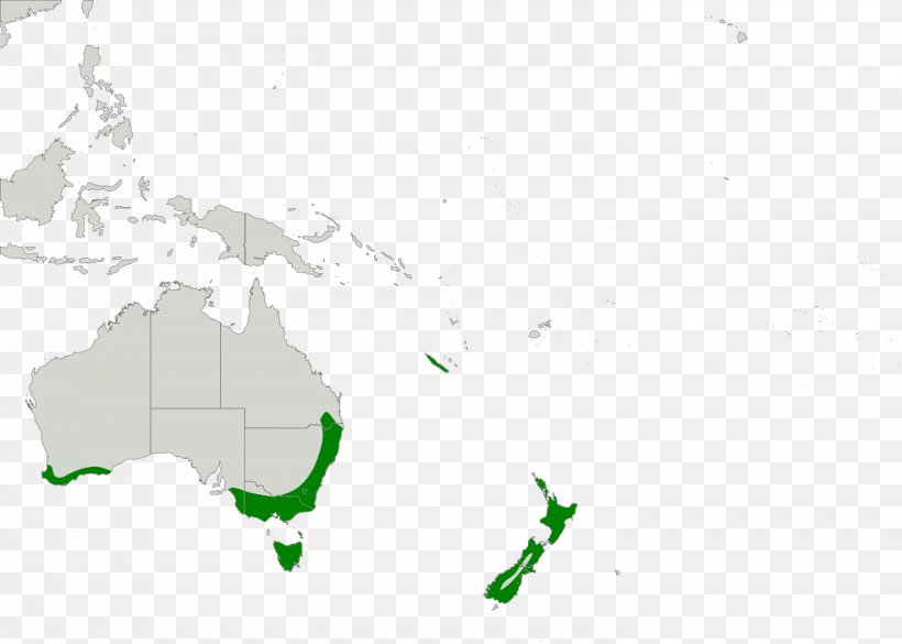 Australia Blank Map Country Capital City, PNG, 1476x1054px, Australia, Area, Atlas, Blank Map, Capital City Download Free