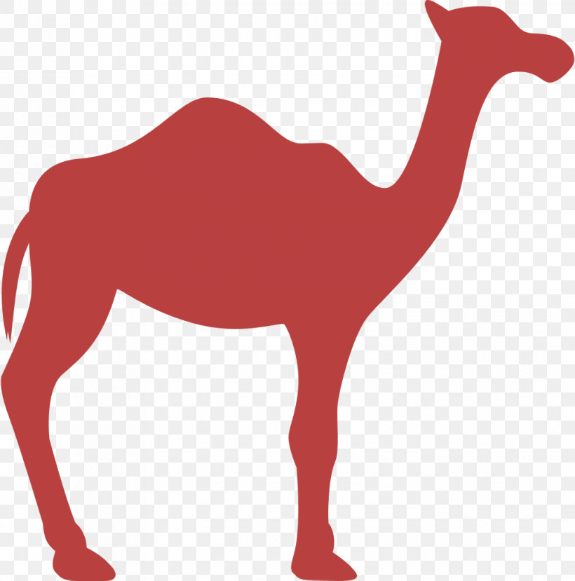 Dromedary Facing Right Icon Animal Silhouettes Icon Animals Icon, PNG, 1018x1030px, Animal Silhouettes Icon, Animals Icon, Arabian Horse, Bactrian Camel, Camel Icon Download Free