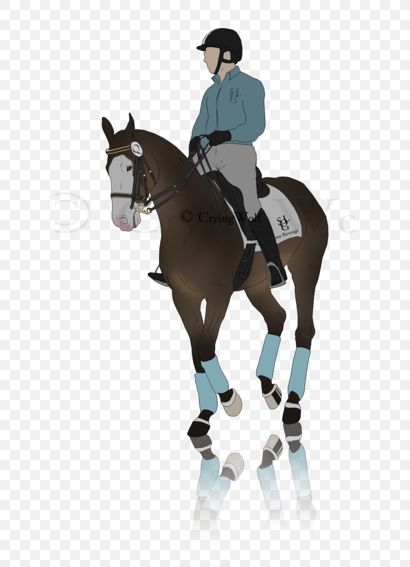 Hunt Seat Rein Horse Stallion Pony, PNG, 600x1134px, Hunt Seat, Art, Bit, Bridle, English Riding Download Free