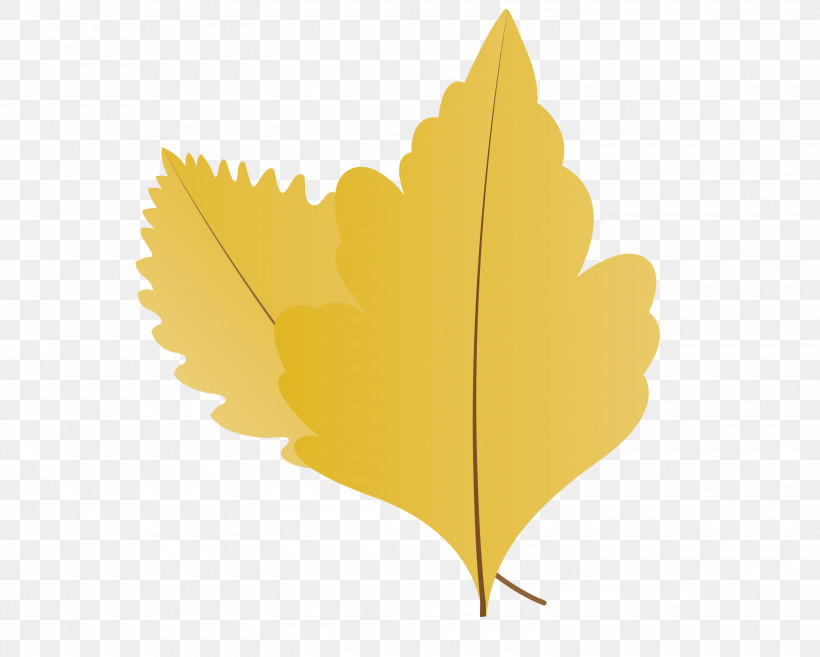 Maple Leaf, PNG, 3000x2407px, Autumn Leaf, Biology, Cartoon Leaf, Fall Leaf, Leaf Download Free