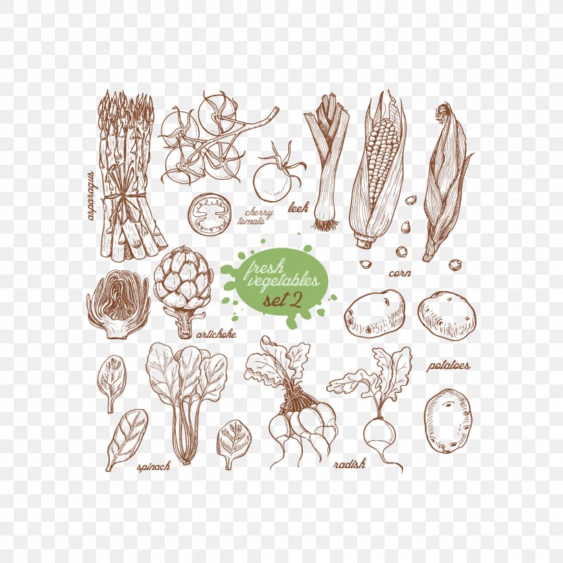 Vegetable Food Illustration, PNG, 2222x2222px, Vegetable, Auglis, Cartoon, Drawing, Flower Download Free