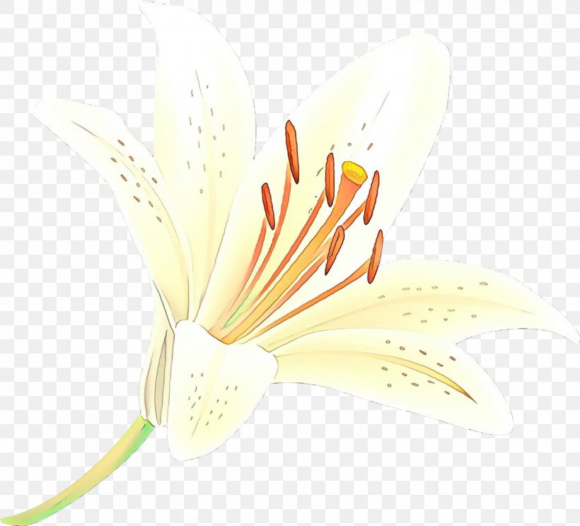 Yellow Flower Plant Pedicel, PNG, 2940x2670px, Cartoon, Flower, Pedicel, Plant, Yellow Download Free