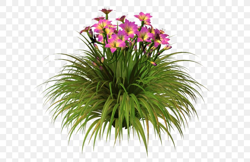 Floral Design Flowerpot Cut Flowers Grasses Houseplant, PNG, 600x532px, Floral Design, Annual Plant, Cut Flowers, Family, Floristry Download Free