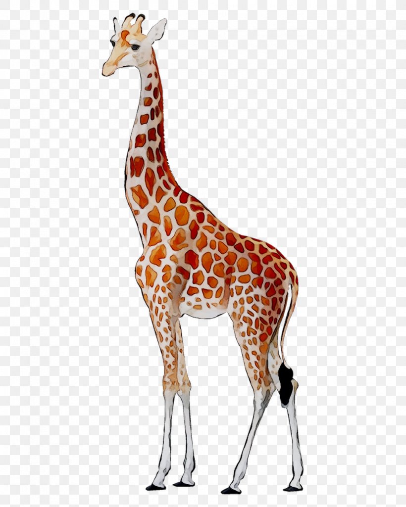 Giraffe Deer Neck Fauna Pattern, PNG, 1016x1270px, Giraffe, Animal, Animal Figure, Deer, Fauna Download Free