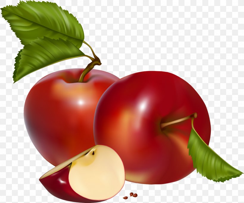 Clip Art Apple Transparency Image, PNG, 1501x1253px, Apple, Accessory Fruit, Apple Crisp, Cherry, Flower Download Free