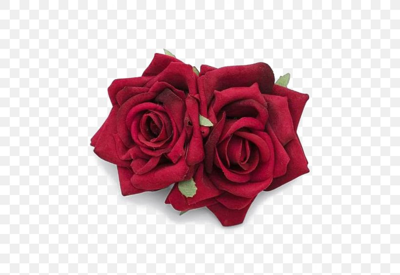Garden Roses Beach Rose Red Petal Flower, PNG, 564x564px, Garden Roses, Barrette, Beach Rose, Color, Cut Flowers Download Free