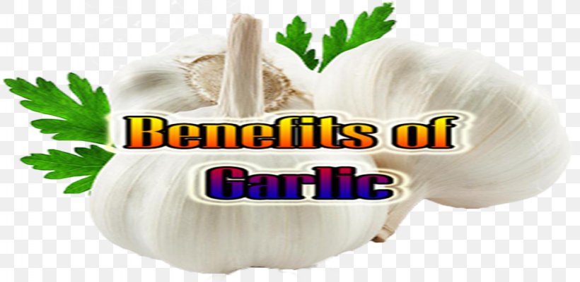 Honey Garlic Sauce Eating Food Spice, PNG, 1024x500px, Garlic, Beslenme, Blood Pressure, Cooking, Eating Download Free