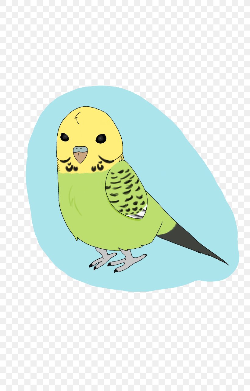 Owl Bird Beak Feather, PNG, 800x1280px, Owl, Art, Beak, Bird, Bird Of Prey Download Free