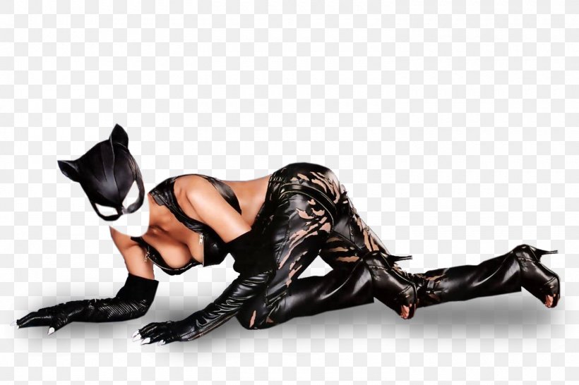Costume Computer Software, PNG, 1500x1000px, Costume, Adobe Systems, Carnivoran, Cat Like Mammal, Computer Software Download Free