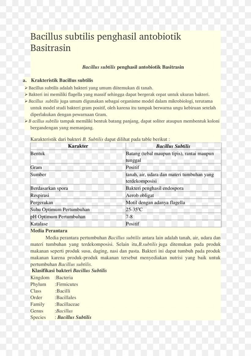 Document Line, PNG, 1653x2339px, Document, Area, Diagram, Paper, Text Download Free