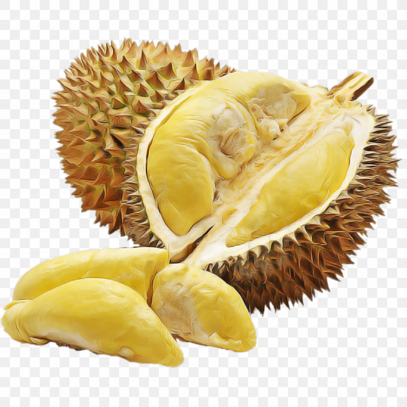 Durian Fruit Food Cempedak Ingredient, PNG, 1100x1100px, Durian, Artocarpus, Artocarpus Odoratissimus, Cempedak, Food Download Free