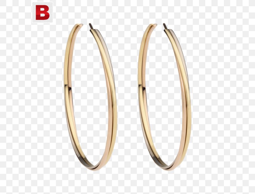 Earring Body Jewellery Bangle, PNG, 625x625px, Earring, Bangle, Body Jewellery, Body Jewelry, Earrings Download Free
