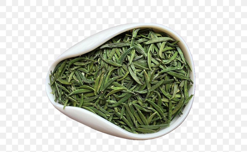 Green Tea Xinyang Maojian Tea Iced Tea, PNG, 612x504px, Tea, Biluochun, Camellia Sinensis, Gratis, Green Bean Download Free