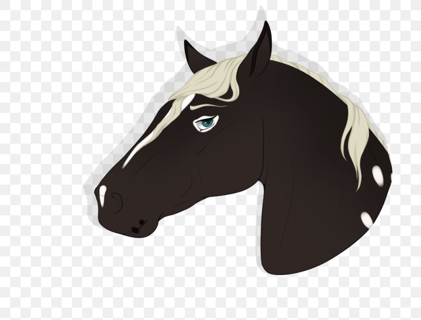 Halter Mustang Bridle Rein Pack Animal, PNG, 1024x780px, Halter, Bridle, Head, Horse, Horse Care Download Free