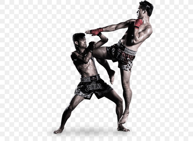 Muay Thai Boxing Mixed Martial Arts Pradal Serey, PNG, 600x600px, Muay Thai, Aggression, Boxing, Boxing Glove, Brazilian Jiujitsu Download Free