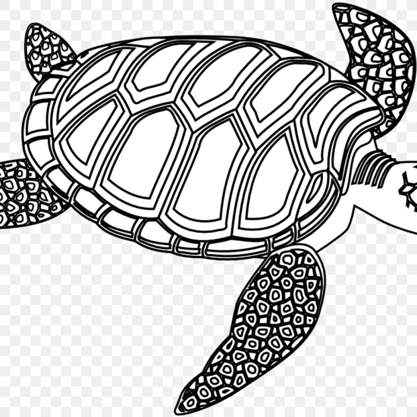 Sea Turtle Clip Art Reptile, PNG, 1024x1024px, Turtle, Blackandwhite, Box Turtle, Coloring Book, Drawing Download Free