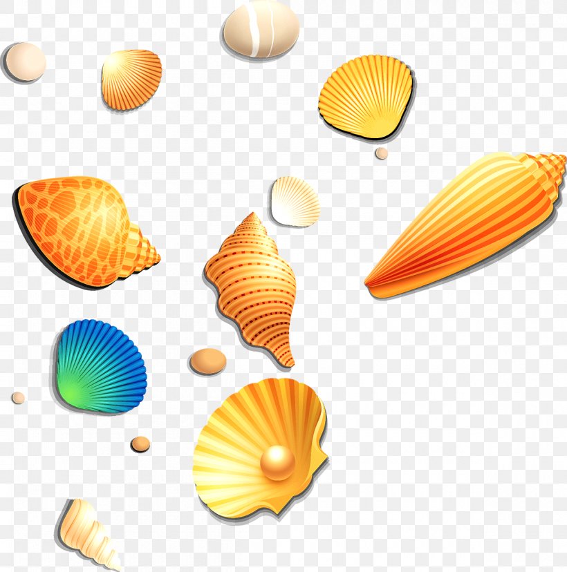 Seashell Conch, PNG, 1200x1213px, Seashell, Conch, Highdefinition Television, Orange, Sea Download Free