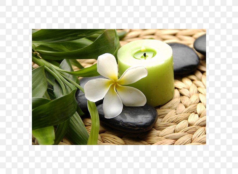 Shine SPA Massage Beauty Parlour Cosmetology, PNG, 600x600px, Spa, Aromatherapy, Beauty Parlour, Brochure, Cosmetology Download Free