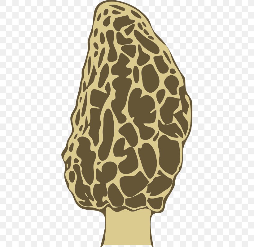 Yellow Morel Mushroom Fungus Giraffe False Morel, PNG, 423x800px, Yellow Morel, Carnivoran, Common Mushroom, Edible Mushroom, False Morel Download Free