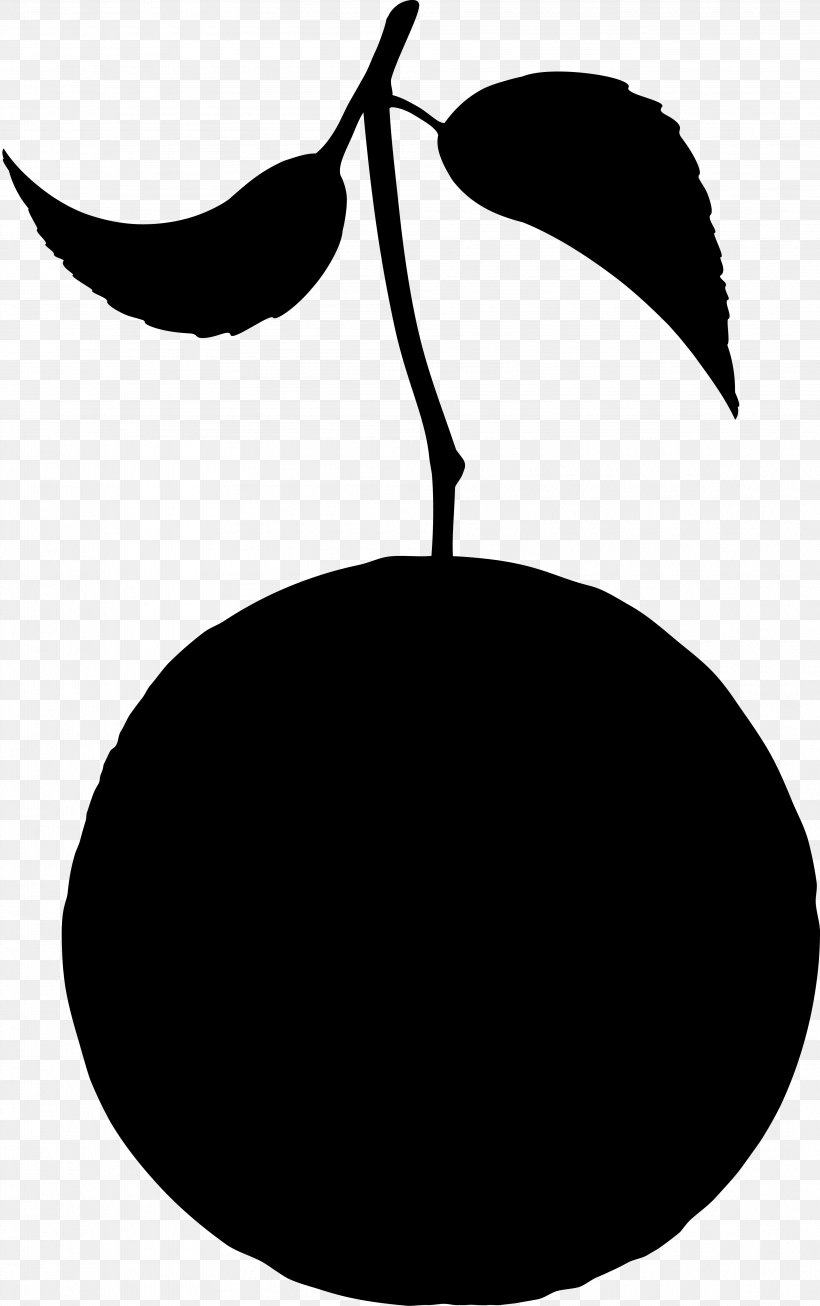 Clip Art Fruit Silhouette Flowering Plant Leaf, PNG, 3825x6094px, Fruit, Blackandwhite, Botany, Branch, Branching Download Free