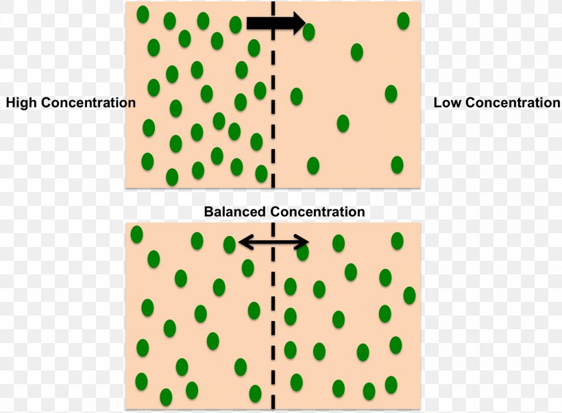 Facilitated Diffusion Concentration Semipermeable Membrane Osmosis, PNG, 1498x1101px, Diffusion, Active Transport, Area, Brand, Cell Download Free