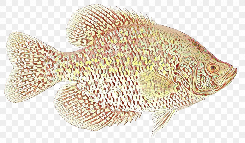 Fish Bluegill Green Sunfish Fish Sun Bass, PNG, 963x561px, Fish, Bluegill, Bonyfish, Green Sunfish, Northern Longear Download Free