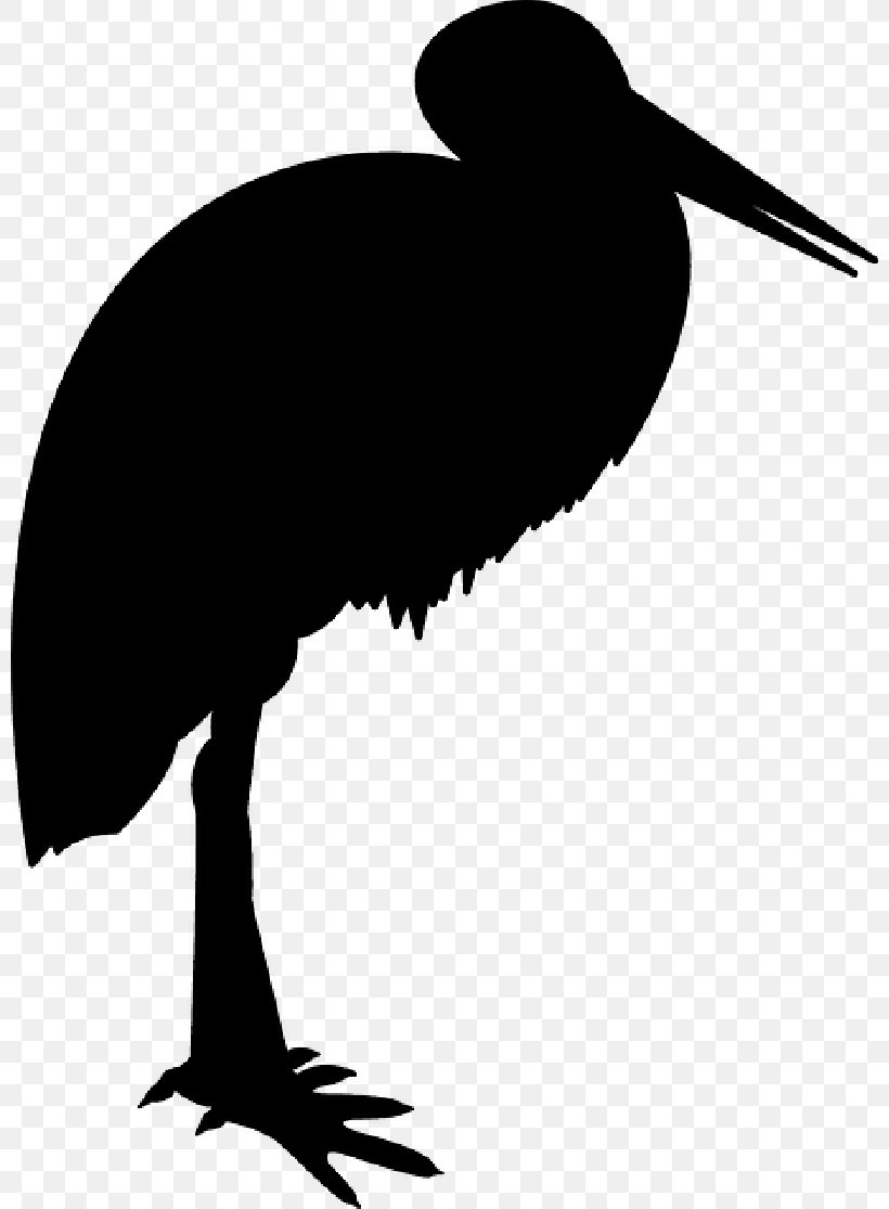 Clip Art Water Bird Performing Arts, PNG, 800x1115px, Bird, Beak, Black Stork, Cranelike Bird, Heron Download Free