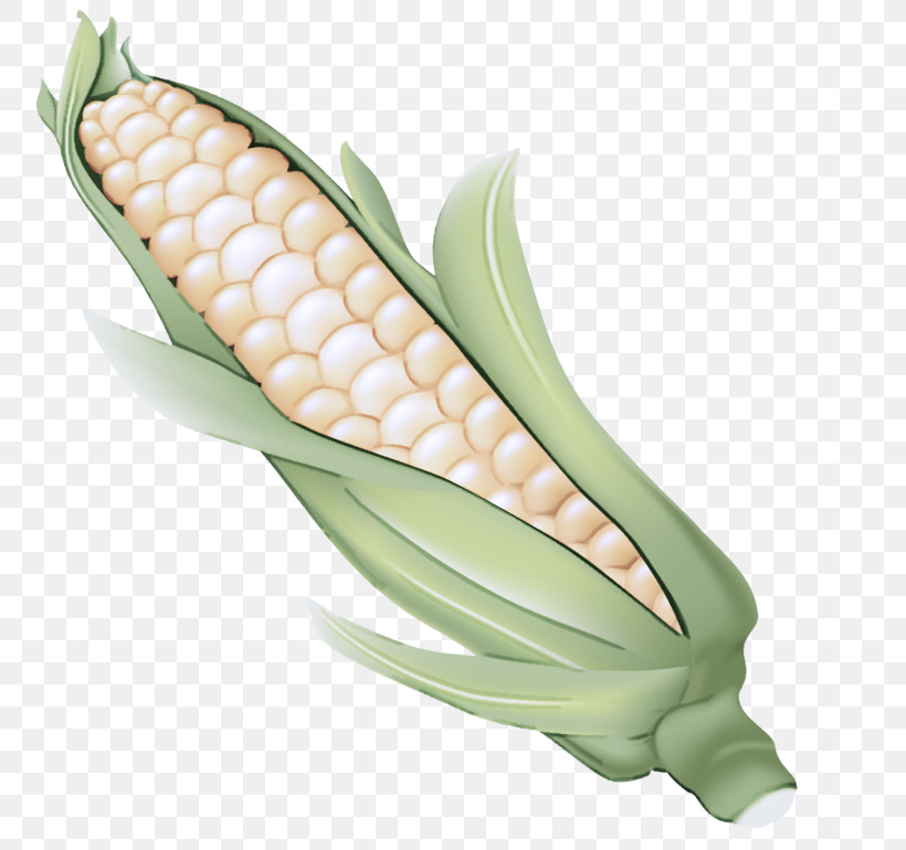 Corn On The Cob Sweet Corn Corn Vegetable Corn Kernels, PNG, 800x770px, Corn On The Cob, Anthurium, Corn, Corn Kernels, Cuisine Download Free