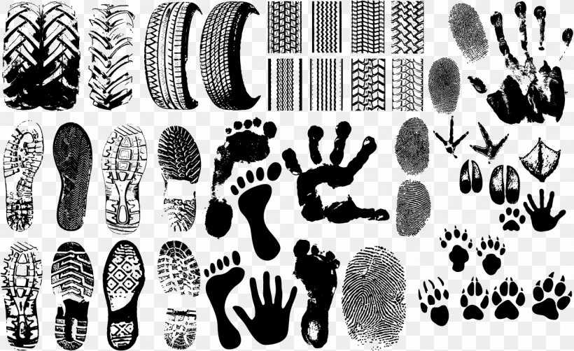 Footprint Clip Art, PNG, 1269x777px, Footprint, Black And White, Brand, Drawing, Fingerprint Download Free