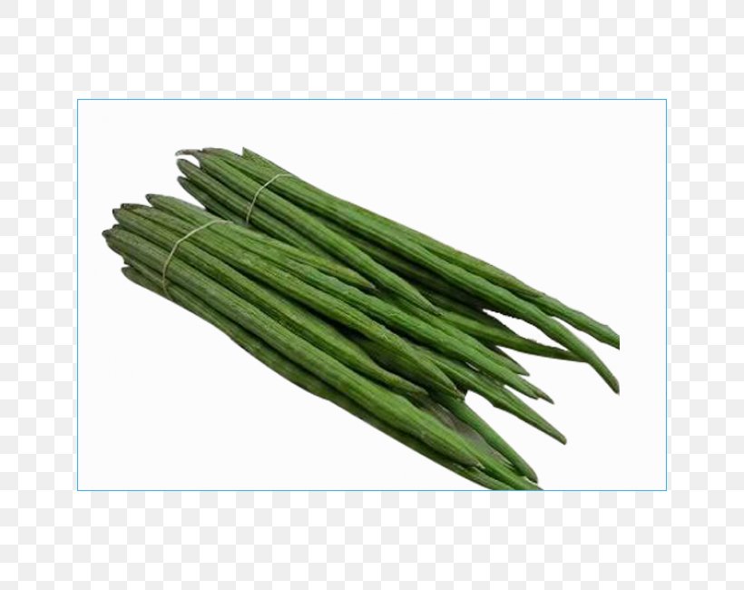 India Drumstick Tree Drum Stick Food Export, PNG, 650x650px, India, Asparagus, Company, Drum, Drum Stick Download Free