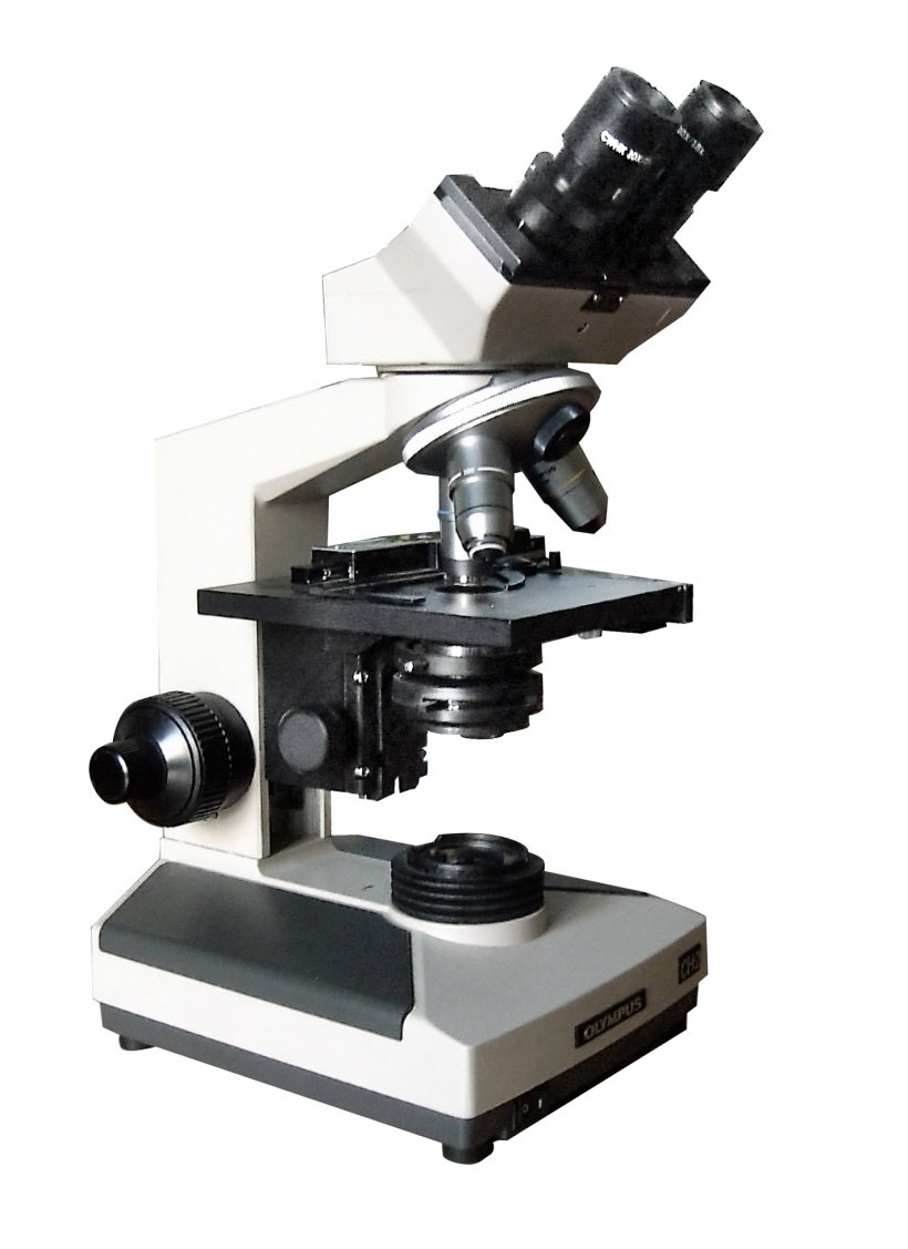 Microscope Science Biology Microtome Microscopy, PNG, 1422x1956px, Microscope, Anatomy, Biology, Invention, Laboratory Download Free
