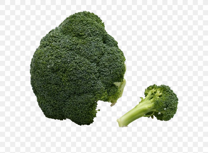 Broccoli Vegetable Immune System, PNG, 3744x2760px, Broccoli, Animation, Autoimmune Disease, Disease, Food Download Free