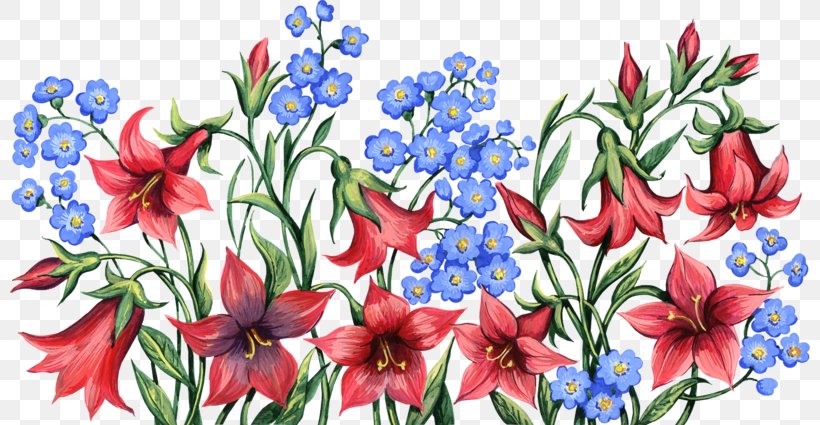 Flower Lilium Garden Roses, PNG, 800x425px, Flower, Amaryllis Belladonna, Art, Cut Flowers, Designer Download Free