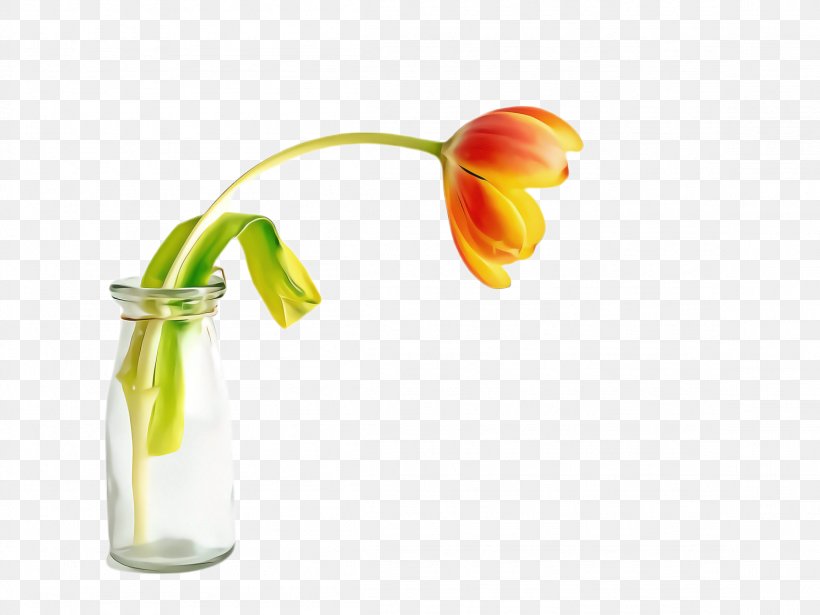 Flowers Background, PNG, 2308x1732px, Tulip, Artstone, Blossom, Cut Flowers, Flora Download Free